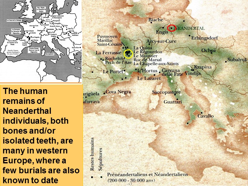 The human remains of Neanderthal individuals, both bones and/or isolated teeth, are many in